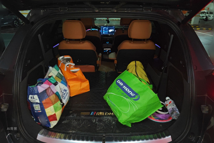 BYD Tang New Energy 2022 car image #21