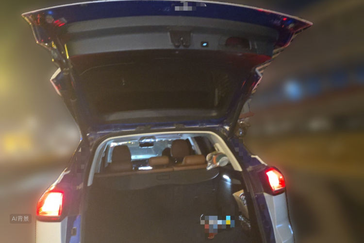 GEELY Boyue 2019 immagine di auto #21