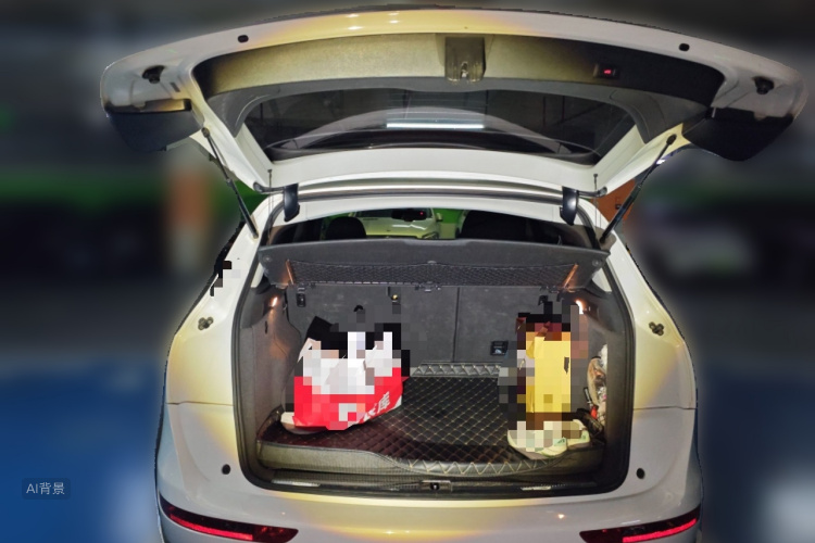 Audi Q5 2017 car image #21