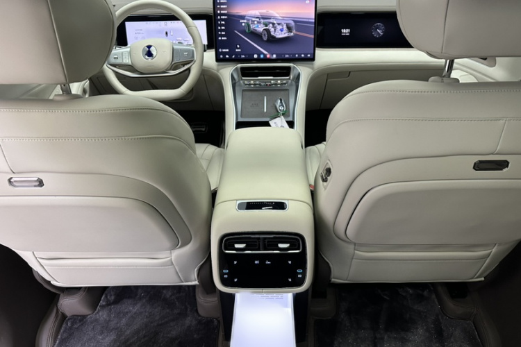 Denza 2025 car image #21