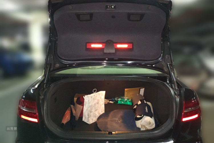 Audi A6L 2009 car image #21