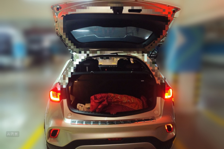 GEELY Vision X3 2020 car image #21