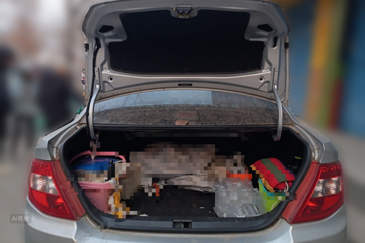 BYD F3 2016 car image #21