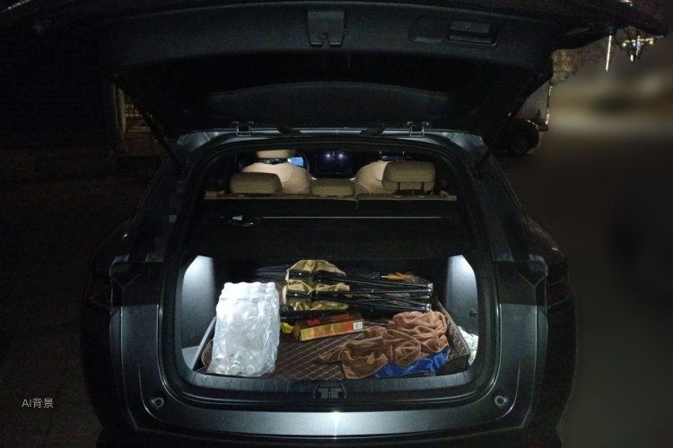 BYD SongL DM-i 2024 car image #21