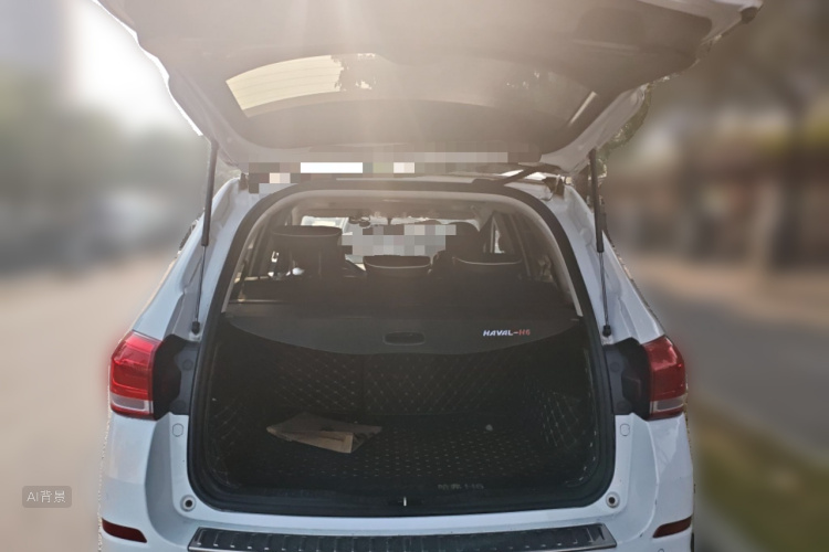 Haval H6 2019 #21 Haval H6 2019 car image #21