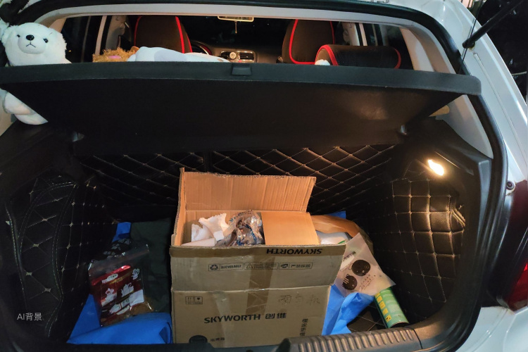 Polo 2016 汽车图片 #21