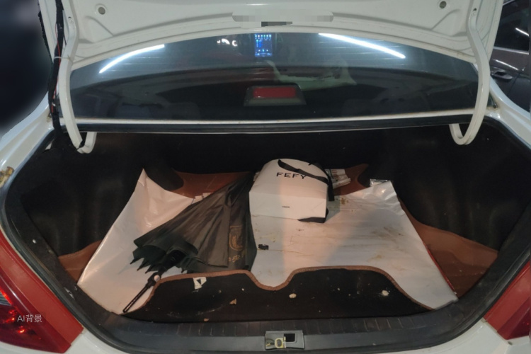 BYD F3 2017 car image #21