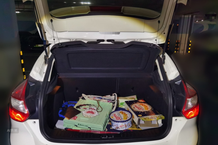 Ford Focus 2014 car image #21