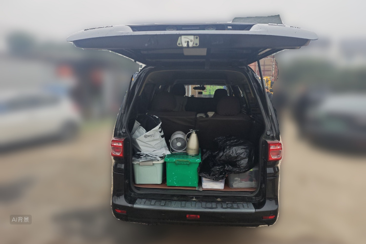 Forthing Lingzhi 2022 immagine di auto #21