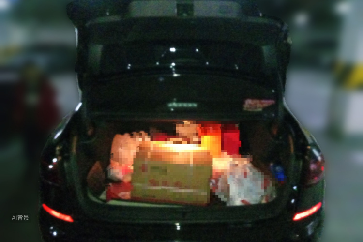 Volkswagen Passat New Energy 2023 #21 Volkswagen Passat New Energy 2023 صورة سيارة #21