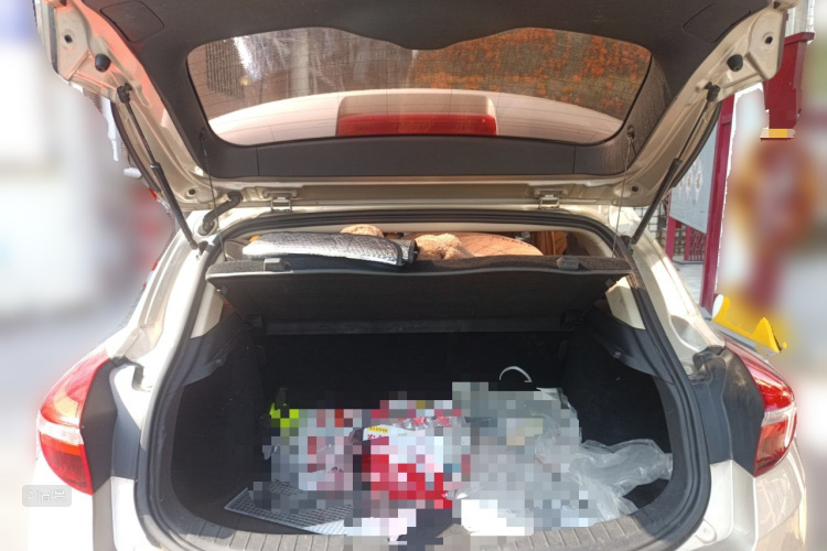 GEELY Emgrand GS 2018 #21 GEELY Emgrand GS 2018 car image #21