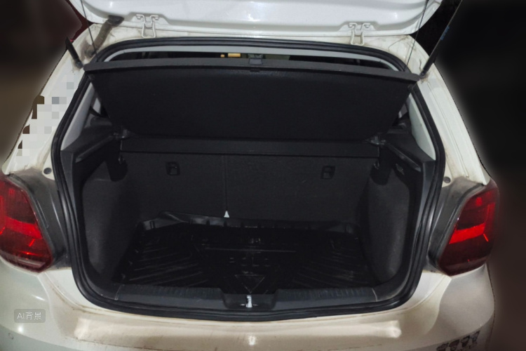 Volkswagen Polo 2014 car image #21