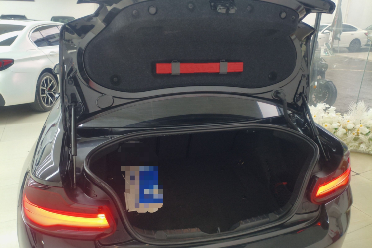 BMW M2 2018 car image #21