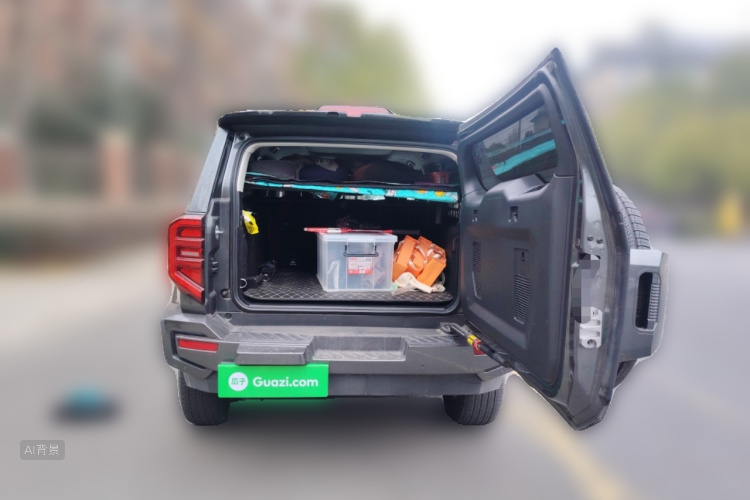 Tank 400 New Energy 2024 car image #21