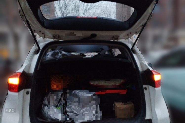 Changan CS15 2017 #21 Changan CS15 2017 immagine di auto #21