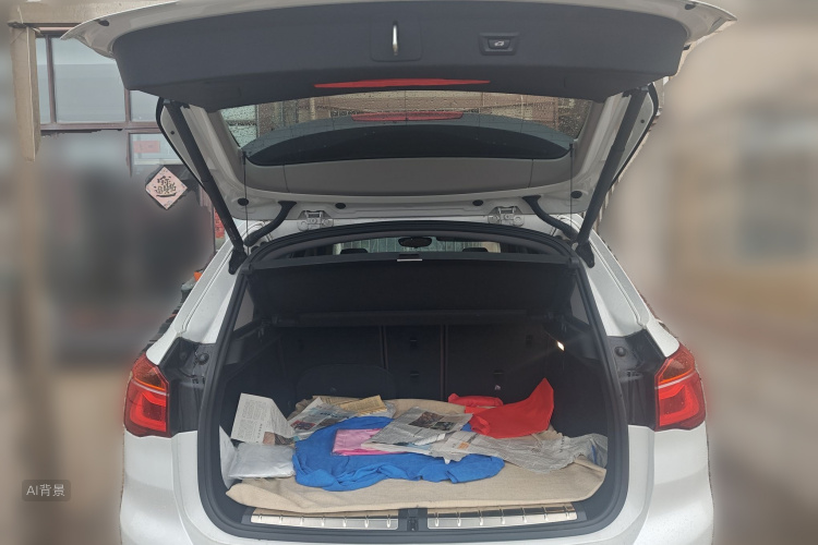 BMW X1 New Energy 2018 car image #21