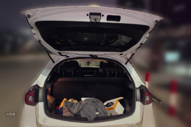 Vision X3 2019 car image #21