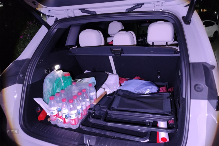 Li L6 2024 صورة سيارة #21