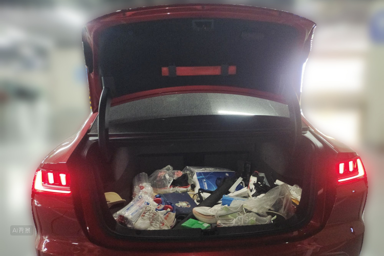 BYD Han 2020 صورة سيارة #21