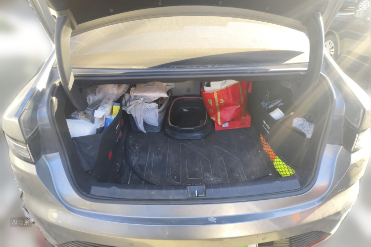 BYD Destroyer 05 2024 imagem de carro #21