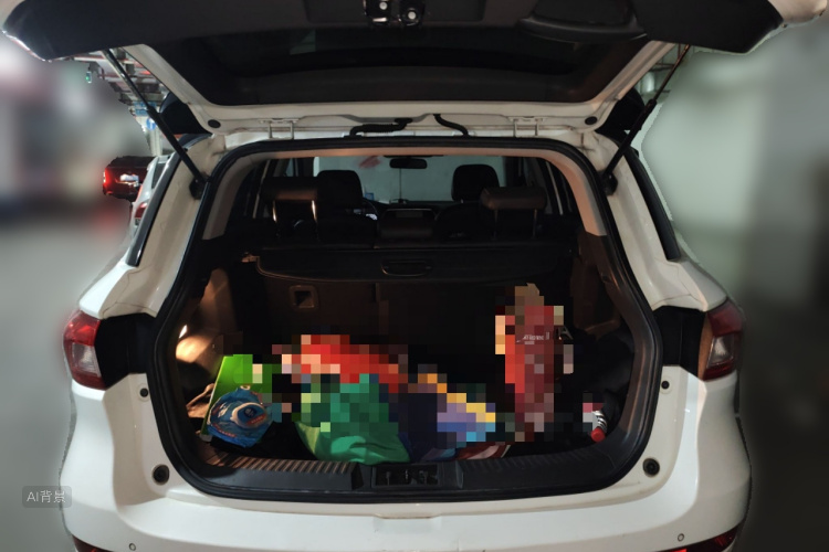 GAC Trumpchi GS4 2016 car image #21