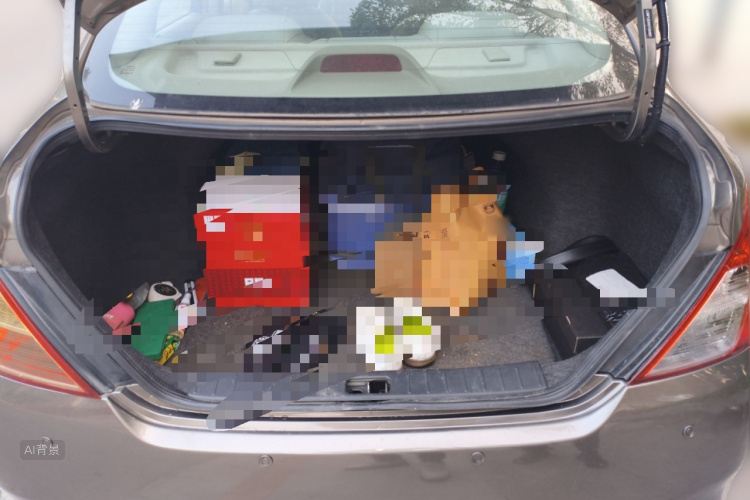 Nissan Sunny 2018 car image #21