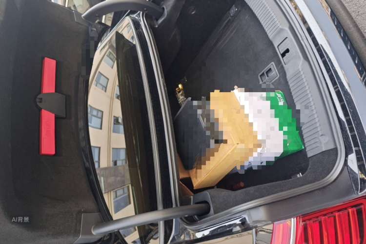 HongQi H9 2021 #21 HongQi H9 2021 car image #21