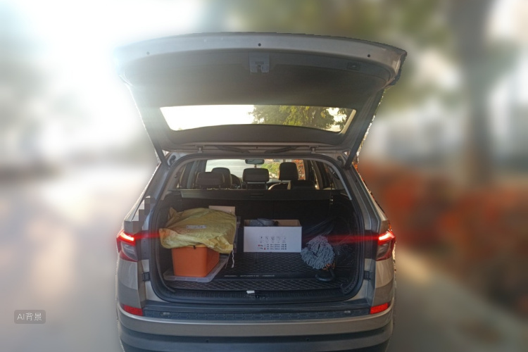 Skoda Kodiaq 2019 car image #21