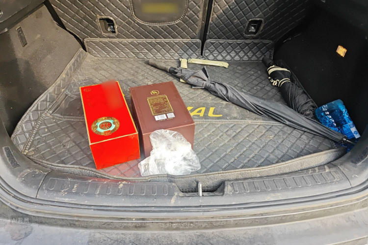 Haval F7x 2021 immagine di auto #21