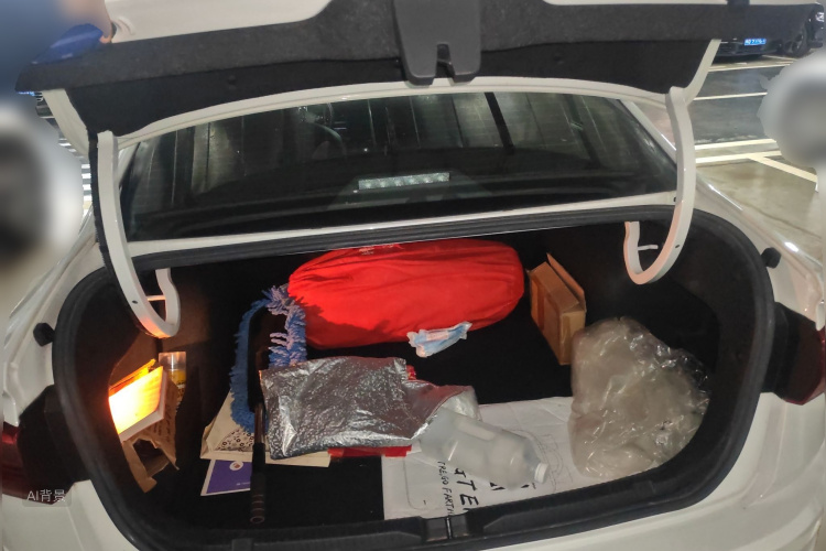 Volkswagen Bora 2019 car image #21