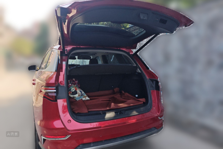 BYD Song Pro New Energy 2019 car image #21