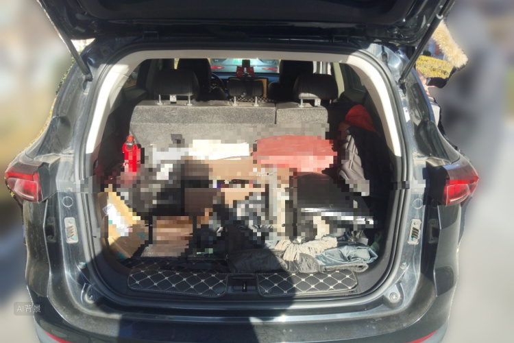 Jetour X70 PLUS 2021 car image #21