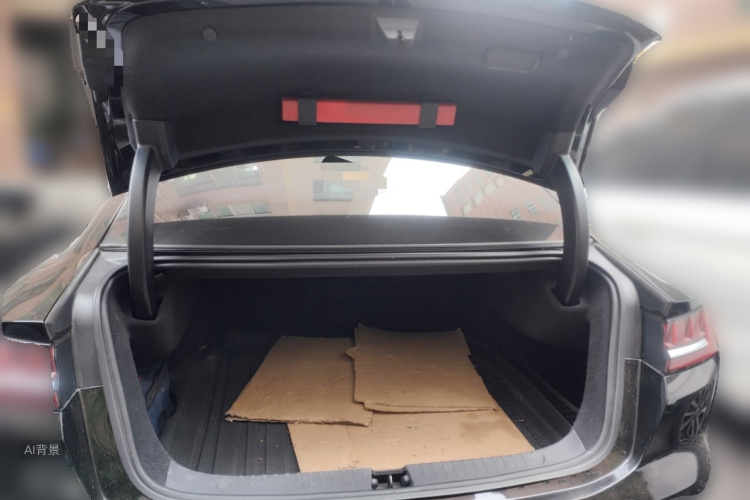 BYD Han 2021 car image #21
