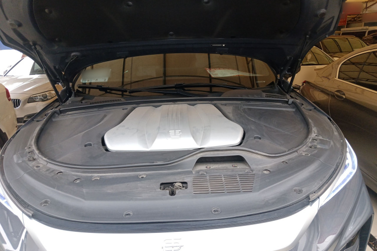 BYD Tang New Energy 2023 car image #21