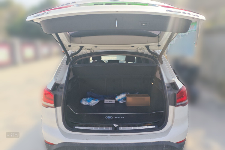 BMW X1 New Energy 2020 #21 BMW X1 New Energy 2020 car image #21