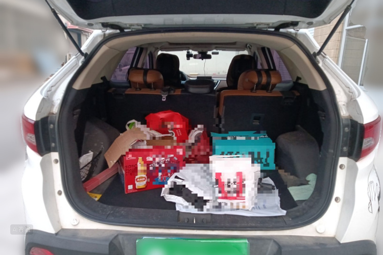 Soueast DX7 2016 car image #21