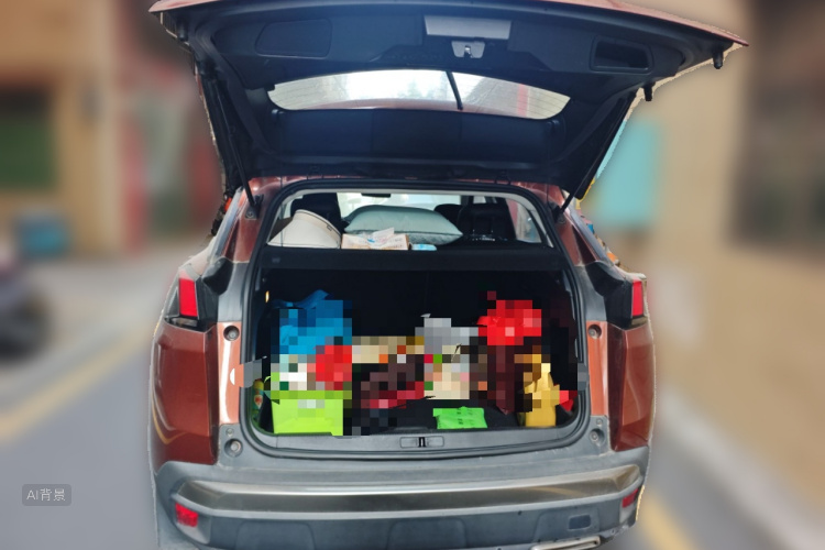 Peugeot 4008 2017 car image #21