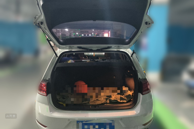 Volkswagen Golf 2019 car image #21