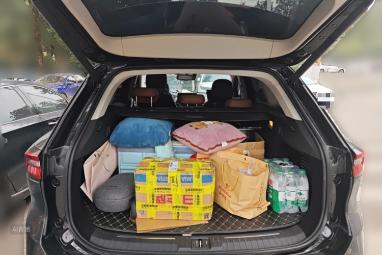 Exceed Lingyun 2019 car image #21