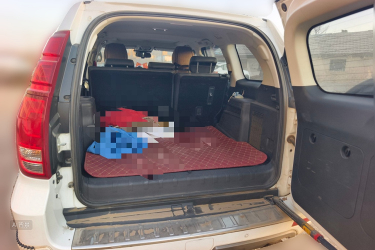 Haval H9 2020 #21 Haval H9 2020 صورة سيارة #21