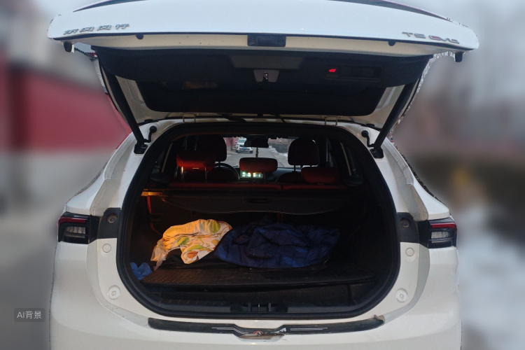 Forthing T5 EVO 2021 immagine di auto #21