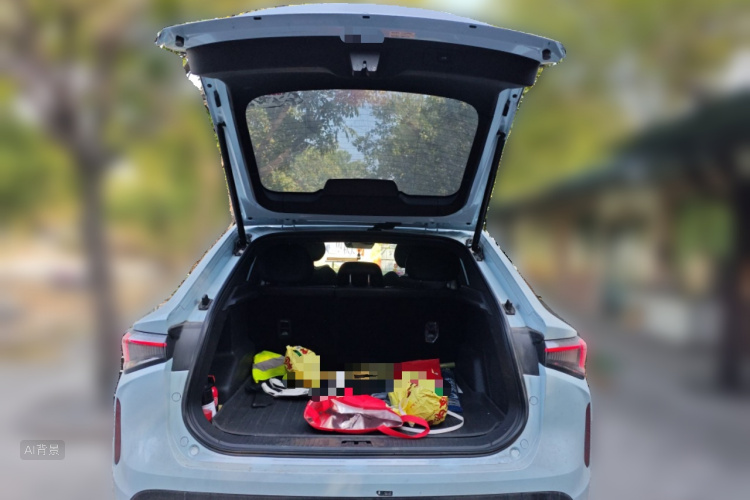 睿蓝汽车 睿蓝7 2023 汽车图片 #21