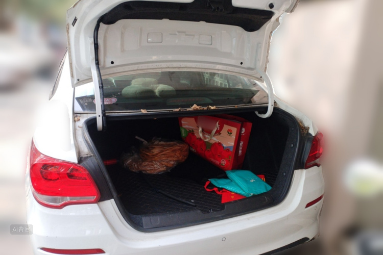 Chevrolet Cavalier 2018 car image #21