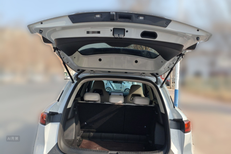 BYD YuanUP 2025 car image #21