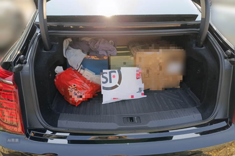 HongQi H9 2023 immagine di auto #21