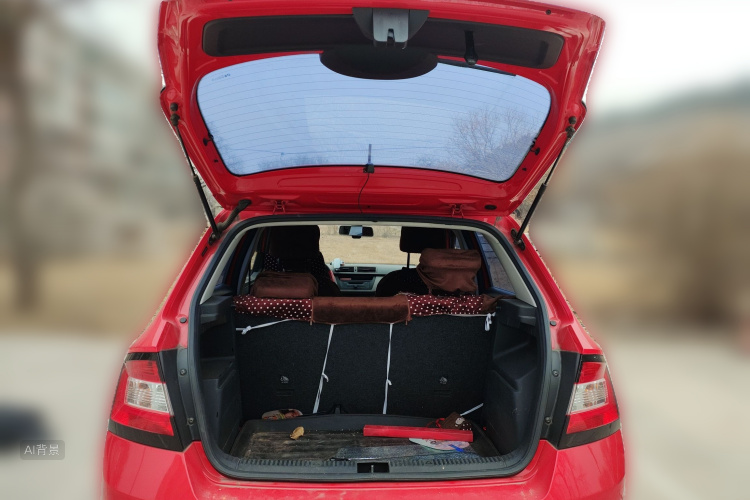 Skoda Fabia 2016 immagine di auto #21