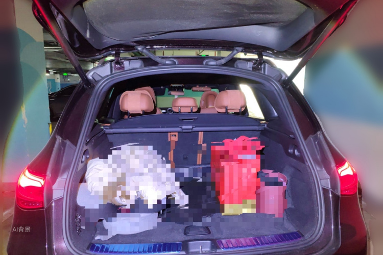 Mercedes-Benz GLC Class 2024 immagine di auto #21