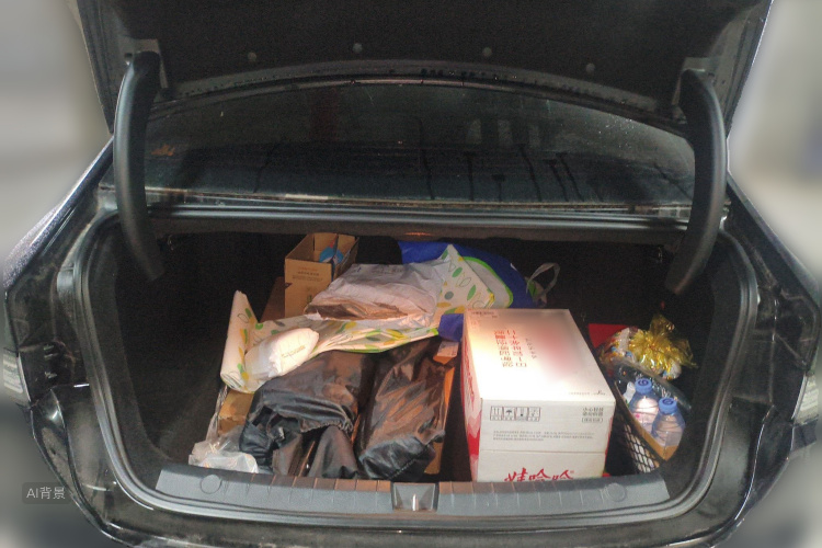 比亚迪 驱逐舰05 2024 汽车图片 #21