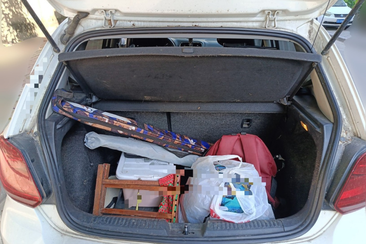 Polo 2015 car image #21