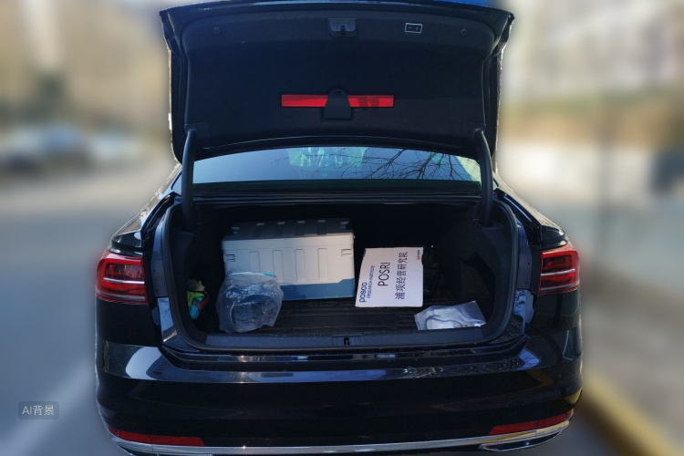 Volkswagen Phideon 2022 car image #21